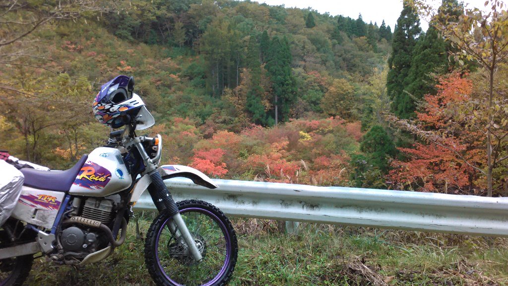 紅葉。遠藤。バイク
