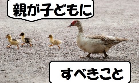 ducks-204332_640