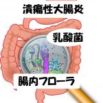 colon-乳酸菌
