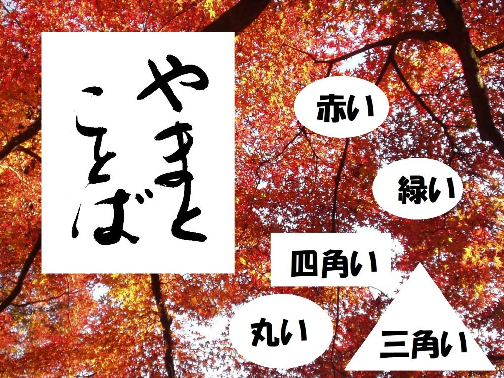 adjective 形容詞。丸い