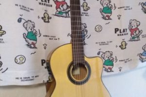 guitar-cordaba