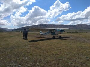 tow plane BFV on the outland 2024-11-05