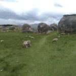 elephant rocks sheep