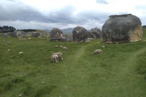 elephant rocks sheep