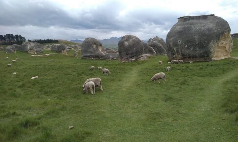 elephant rocks sheep