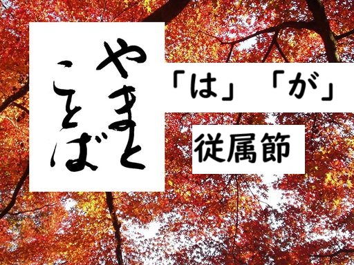 wa ga subordinate 従属節2025-08-10