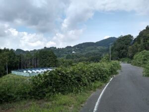 入口前の道路と風景
