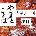 wa ga focus 注目の「が」2025-08-27