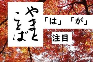 wa ga focus 注目の「が」2025-08-27