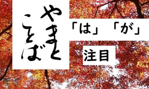 wa ga focus 注目の「が」2025-08-27
