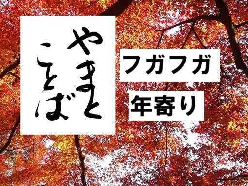 huga フガフガ2025-10-01