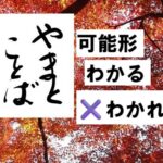 possible 可能形2025-12-03-2