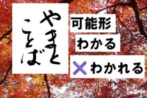 possible 可能形2025-12-03-2