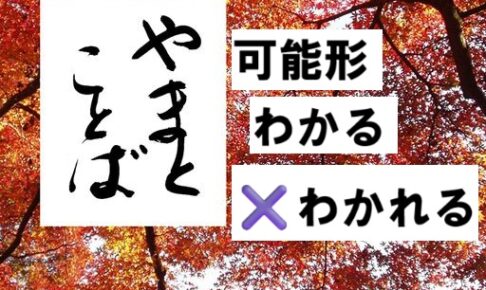 possible 可能形2025-12-03-2