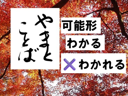 possible 可能形2025-12-03-2