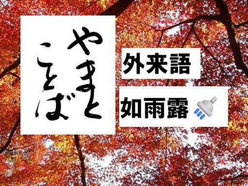 loanword 外来語2026-01-05