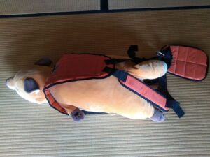 harness ハーネス。きつね2　2025-07-17