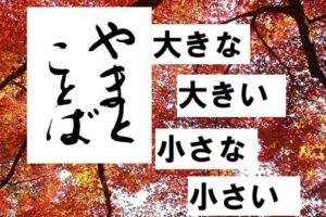 ookina 大きな。小さな2026-01-11