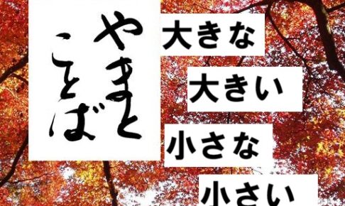 ookina 大きな。小さな2026-01-11