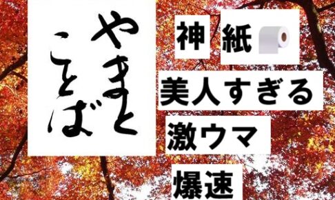 wear out 擦り切れる2026-02-10