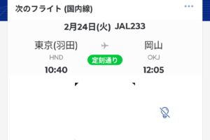 e-ticket 航空券300