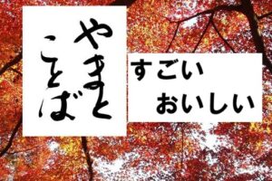 sugoi すごい2026-02-08