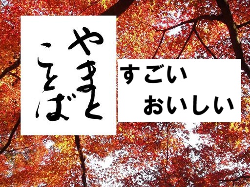 sugoi すごい2026-02-08