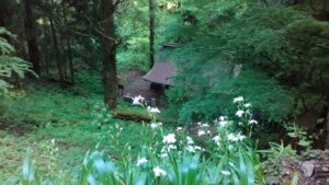 上から見た山門？