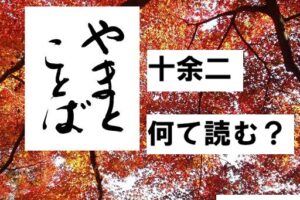 toyohuta 十余二2026-04-29