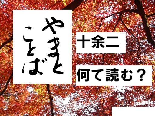 toyohuta 十余二2026-04-29