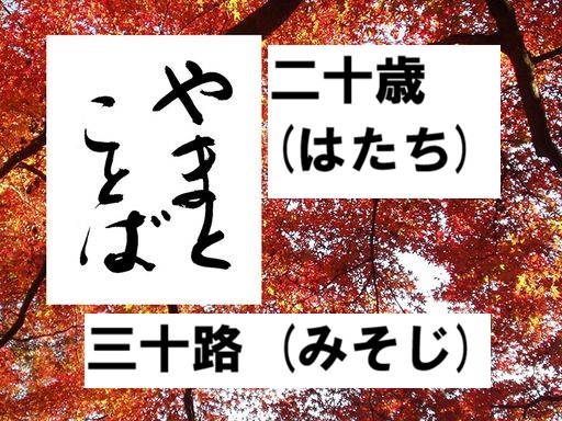 hatachi 二十歳2026-04-25