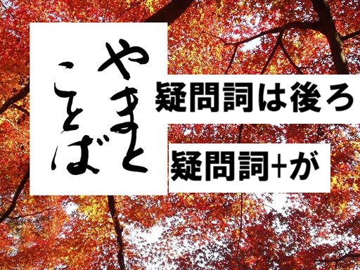 interrogative 疑問詞+が2026-04-23