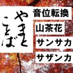 sazanka 山茶花2026-06-07