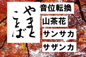 sazanka 山茶花2026-06-07