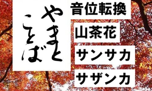 sazanka 山茶花2026-06-07