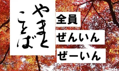 zenin 全員2026-06-09