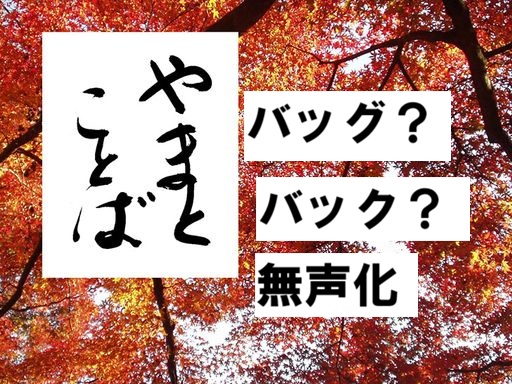 bag バッグ。バック2026-06-20