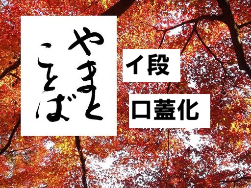 i-raw イ段。口蓋化2026-06-19