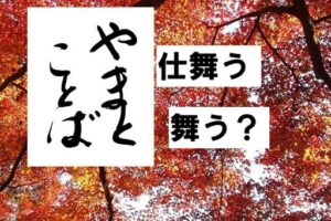 simau 仕舞う2026-07-26