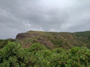 国賀海岸。から摩天崖。馬