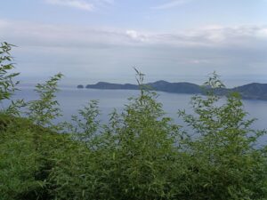 焼火神社。海
