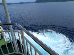 スクリュー後流。青