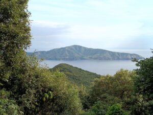 焼火神社。からアカハゲ山