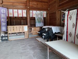 隠岐神社。黒牛