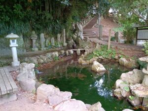 天川の水。池